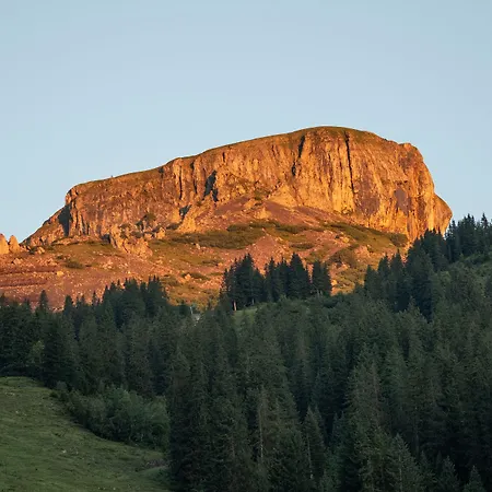 Auenhütte Villa